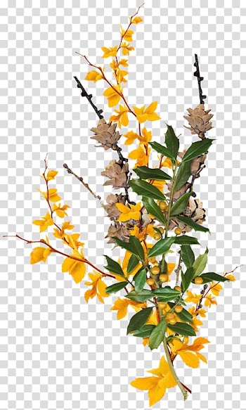 Leaf Flower , others transparent background PNG clipart
