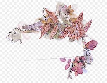 leaf flower plant lilac branch
