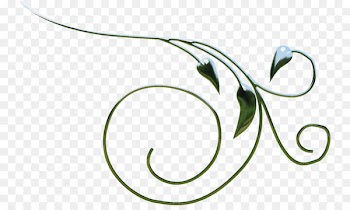 Leaf Flower Plant stem Clip art Pattern - leaf 