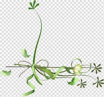 Leaf Flower , taobao page decoration transparent background PNG clipart