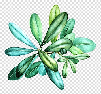 Leaf Flower, watercolor illustration london transparent background PNG clipart