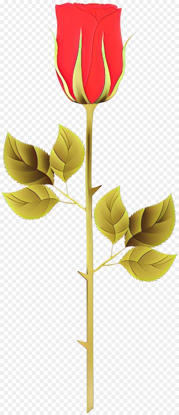 leaf flower yellow plant plant stem