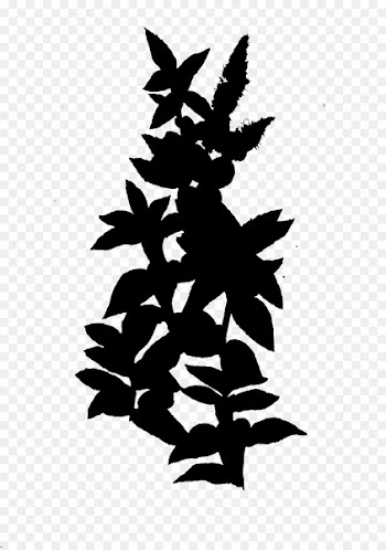 Leaf Flowering plant Silhouette Font -  