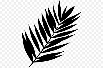 Leaf Font Plant stem Line Plants -  