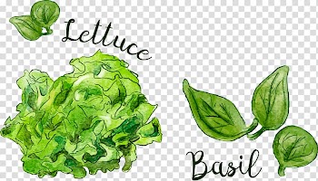Leaf Food Spring greens, hand painted vegetables transparent background PNG clipart