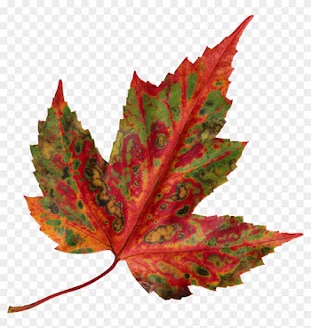 Leaf Format - Managing Project Delivery: Maintaining Control And