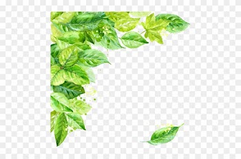 Leaf Frame Transparent Background - Watercolor Leaves Frame Png