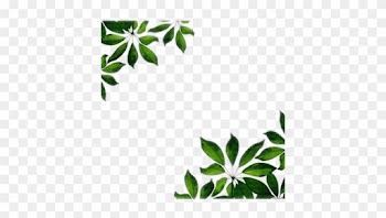 Leaf Frame Wonderful Picture Images - Green Leaves Border Png