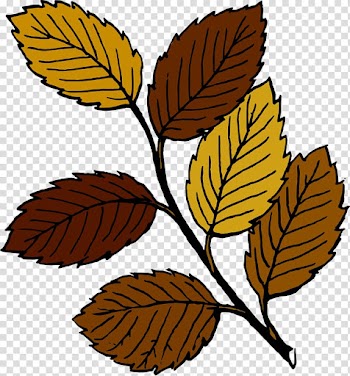 Leaf Free content Autumn , Autumn Leaf transparent background PNG clipart