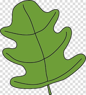 Leaf Free content , Green Leaf transparent background PNG clipart