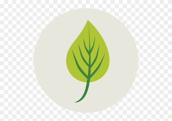 Leaf Free Icon - Ecology