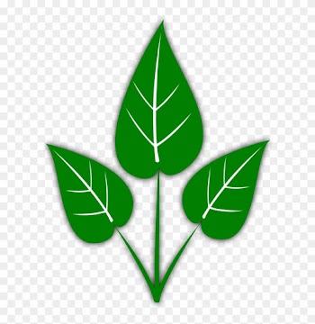 Leaf Free Leaves Clipart Free Clipart Graphics Images - Hydroponics Gardening: How To Start Hydroponics System,
