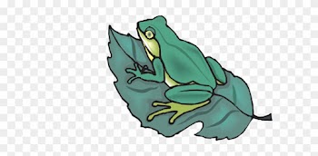 Leaf Frog Cartoons - Frog Is On The Leaf