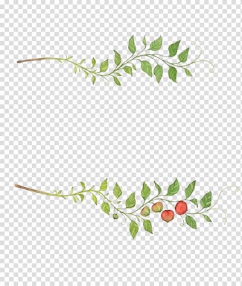 Leaf Fruit Auglis, Vines are available for free transparent background PNG clipart
