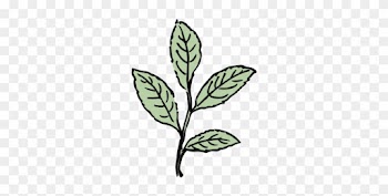 Leaf Gfx - Leaf