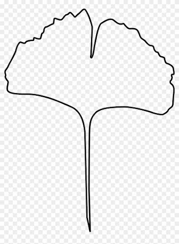 Leaf - Ginkgo Leaf Clip Art