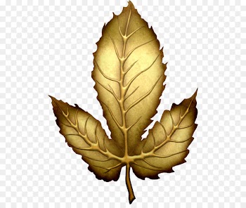 Leaf Gold Clip art - gold leaf 