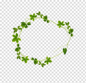 Leaf Green Drawing, Leaf transparent background PNG clipart
