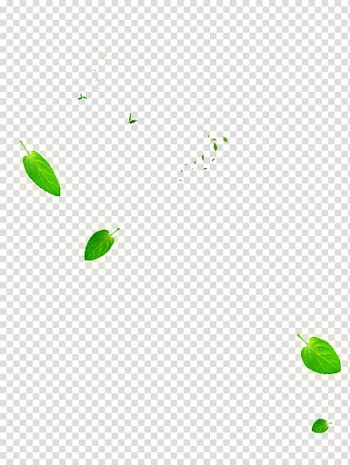 Leaf Green Euclidean , Falling leaves transparent background PNG clipart