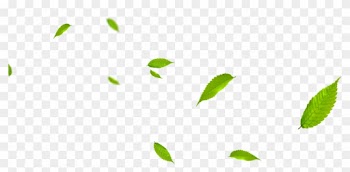 Leaf Green Euclidean Vector Gratis - Portable Network Graphics
