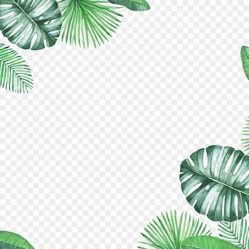 Leaf - Green Fresh Leaf Border Texture 