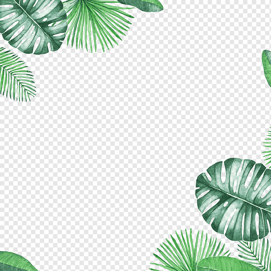 Leaf, Green Fresh Leaf Border Texture, green leafed decor, grass, border Frame, certificate Border png