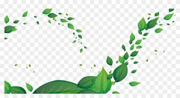 Leaf Green Fundal - Leaf Green Fundal