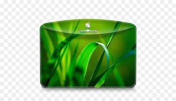 leaf green grass - Folder Nature Leave 