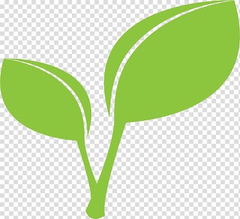 Leaf Green , green leaves transparent background PNG clipart
