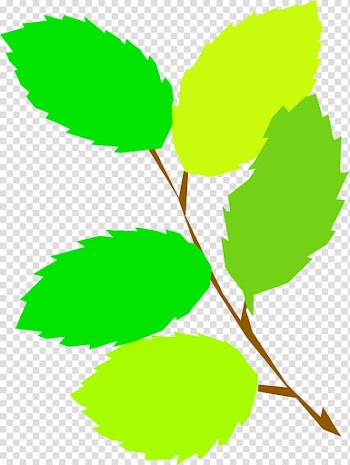 Leaf Green , green leaves transparent background PNG clipart