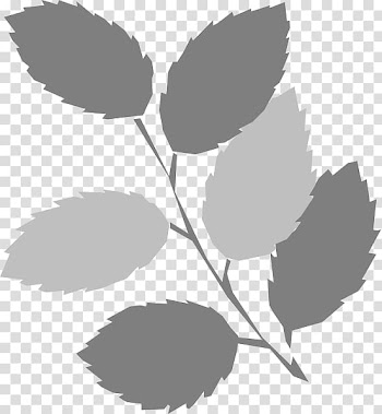 Leaf Green , grey transparent background PNG clipart