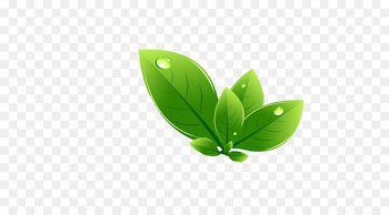 Leaf Green - leaf 