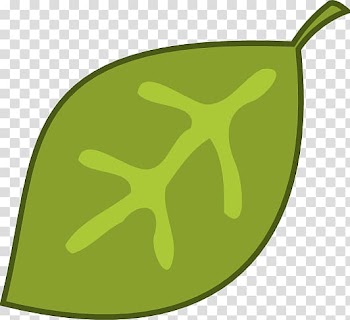 Leaf Green , Leaf Svg transparent background PNG clipart