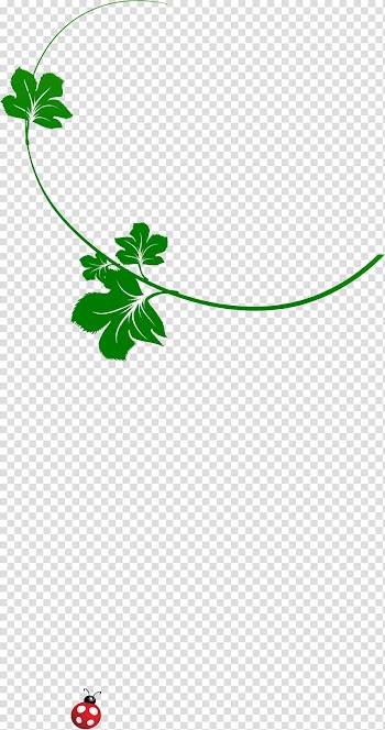 Leaf Green , leaf transparent background PNG clipart