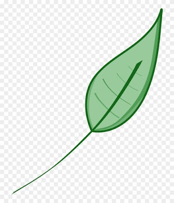 Leaf Green Leaves Clip Art Dromgdi Top - Green Leaf Clip Art