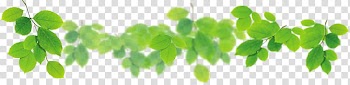 Leaf Green, Leaves decorated leaves transparent background PNG clipart