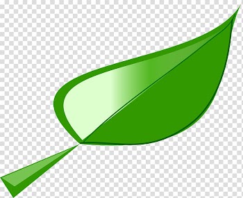 Leaf , green leaves transparent background PNG clipart