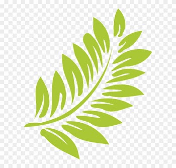 Leaf Green Light Nature Summer - Hibiscus Clipart