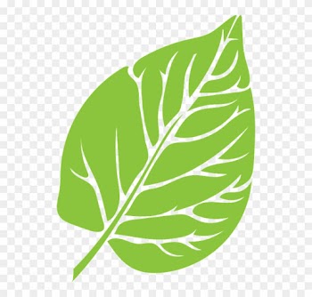 Leaf Green Lush Growth Green Leaf Green Le - Vectoresd E Arboles Animados Con Circulos