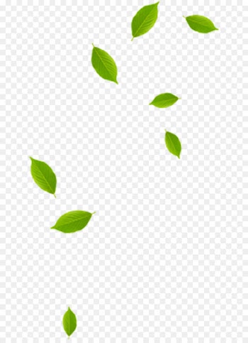Leaf Green Pattern - leaf 