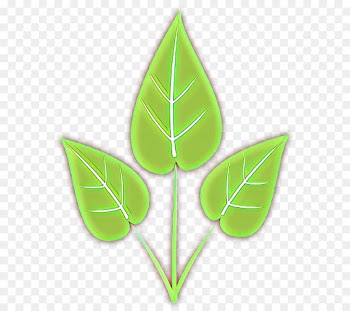 leaf green plant clip art logo
