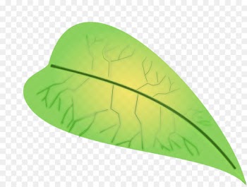 leaf green plant grass logo