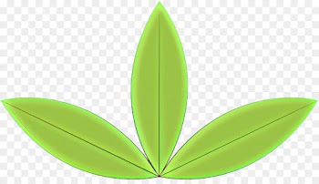 Leaf, Green PNG