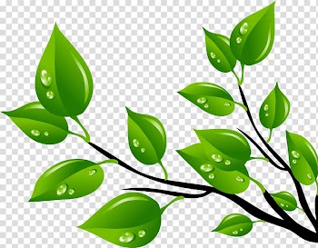 Leaf Green , rama transparent background PNG clipart