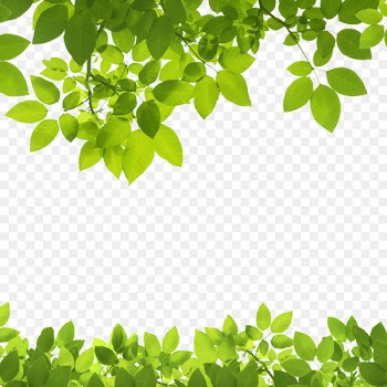 Leaf Green Stock photography Clip art - Texture Border 