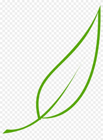 Leaf, Green, Tea, Olive, Graphic, Natural, Environment - Leaf Clipart Vector