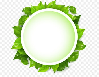 Leaf Green Text Euclidean vector - Green leaves vector text input box 