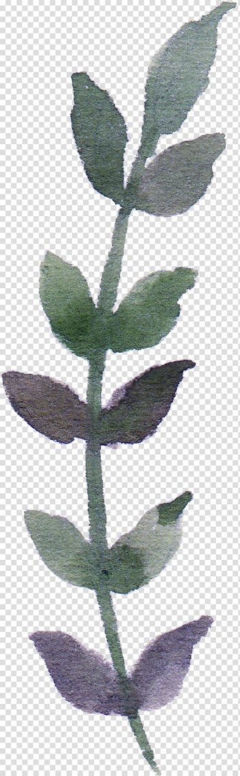 Leaf Green Transparency and translucency, Leaves falling leaves element element transparent background PNG clipart