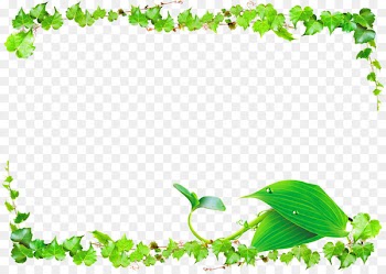 Leaf Green Vine - Vines Border 