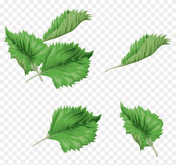 Leaf Green Watercolor Painting Clip Art - Leaf Green Watercolor Painting Clip Art